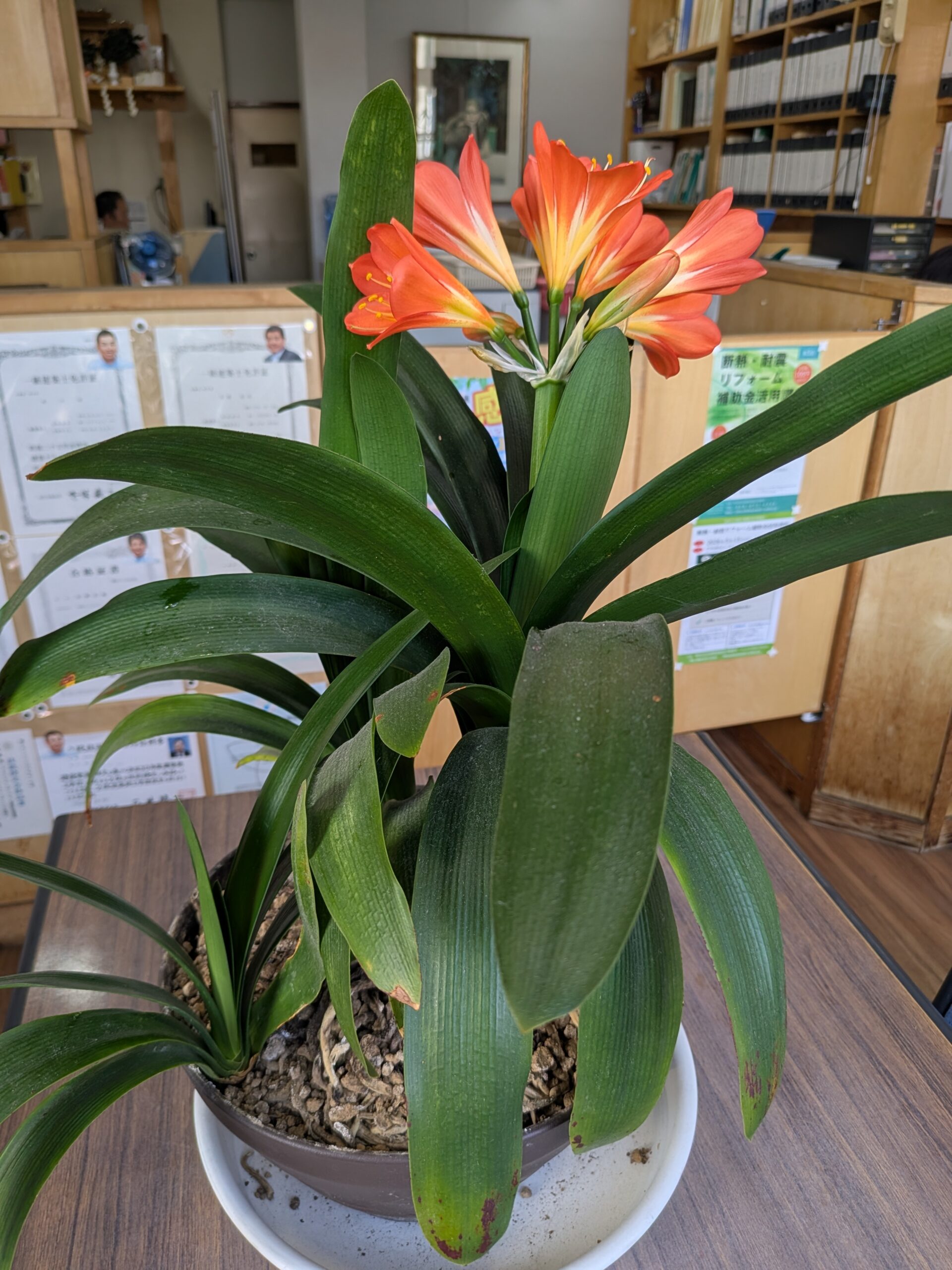 会社のクンシラン