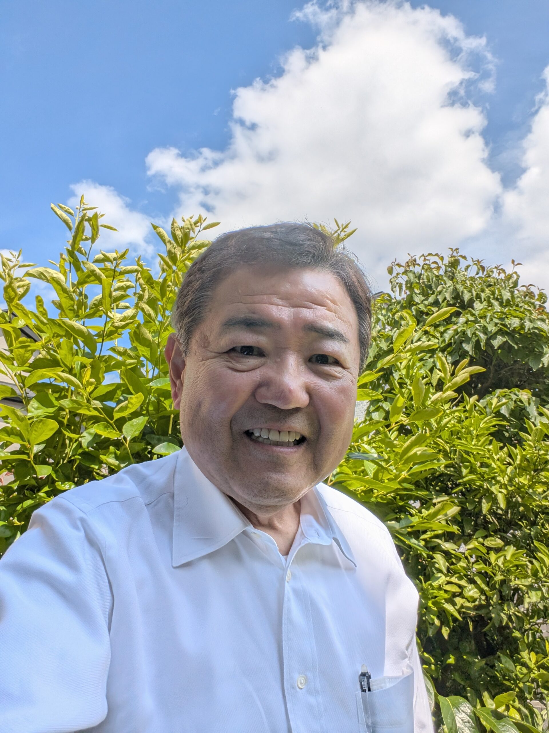 自宅の緑と青い空