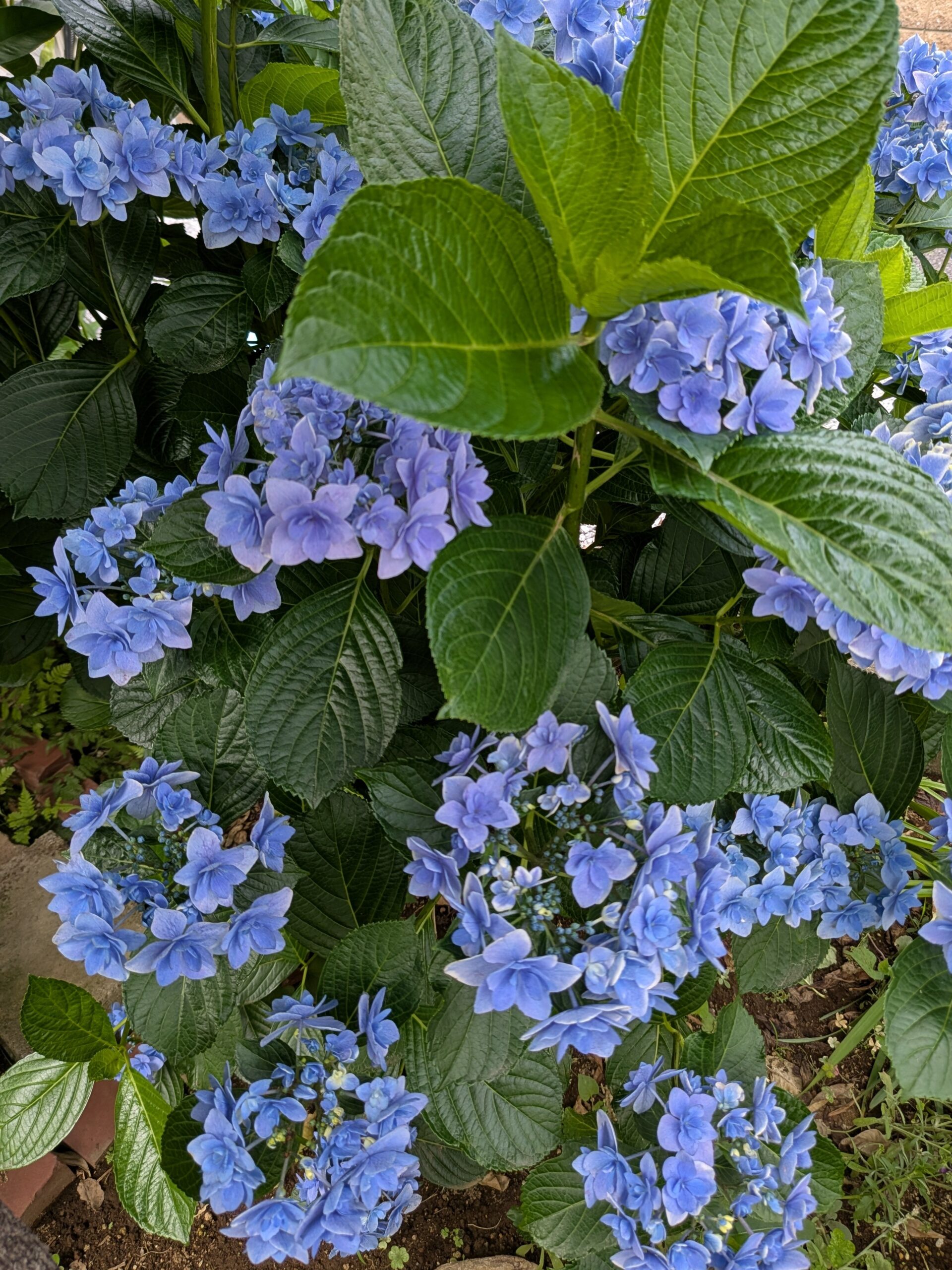 少し静養します!