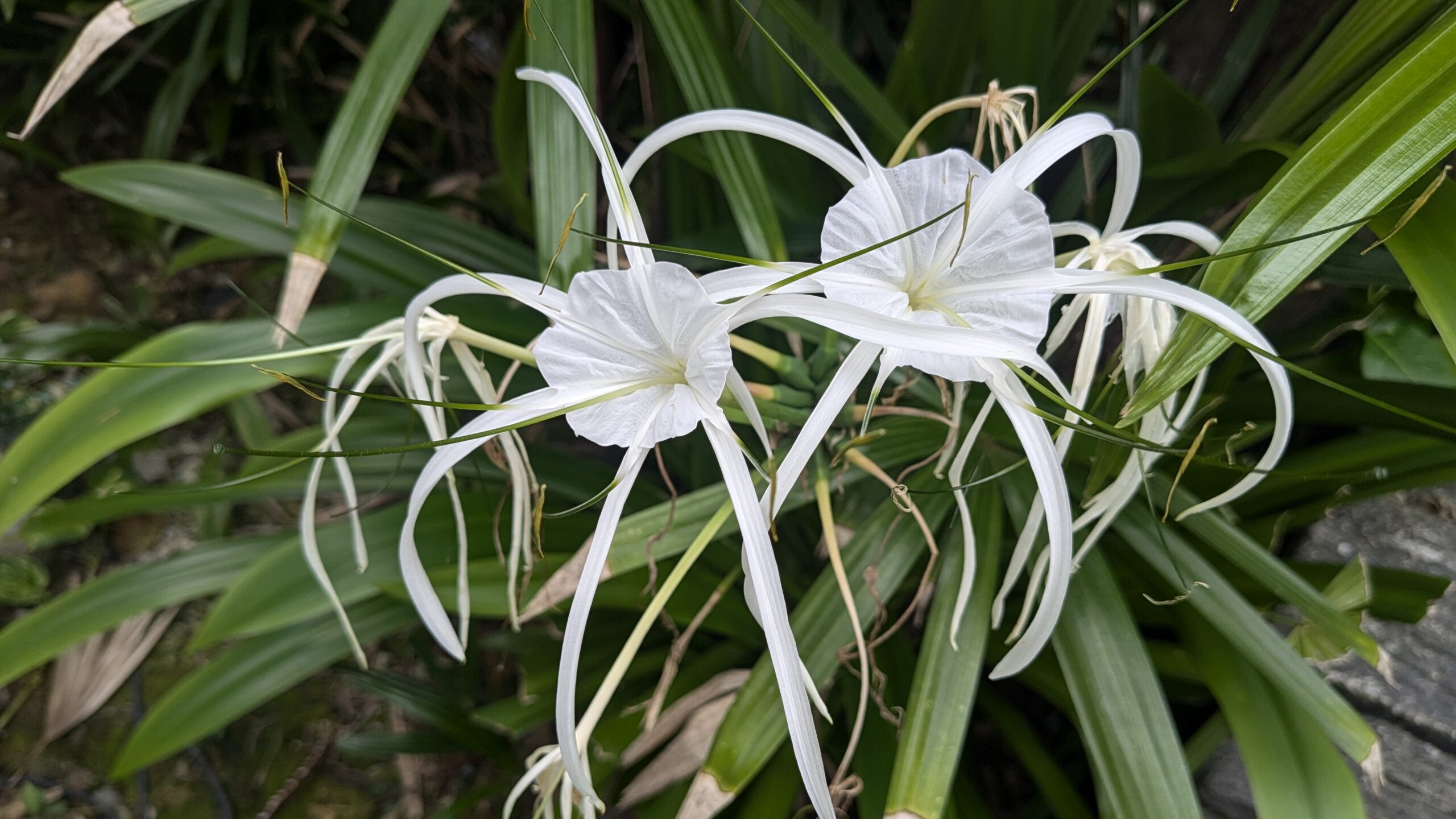 少し休みます!