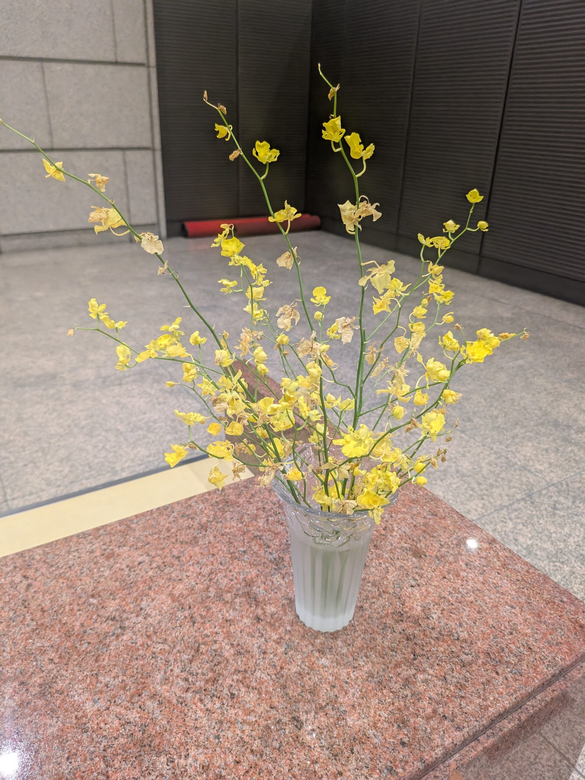 可憐な残った花